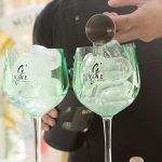 Copas G Vine, V Concurso Provincial de Gin & Tonic