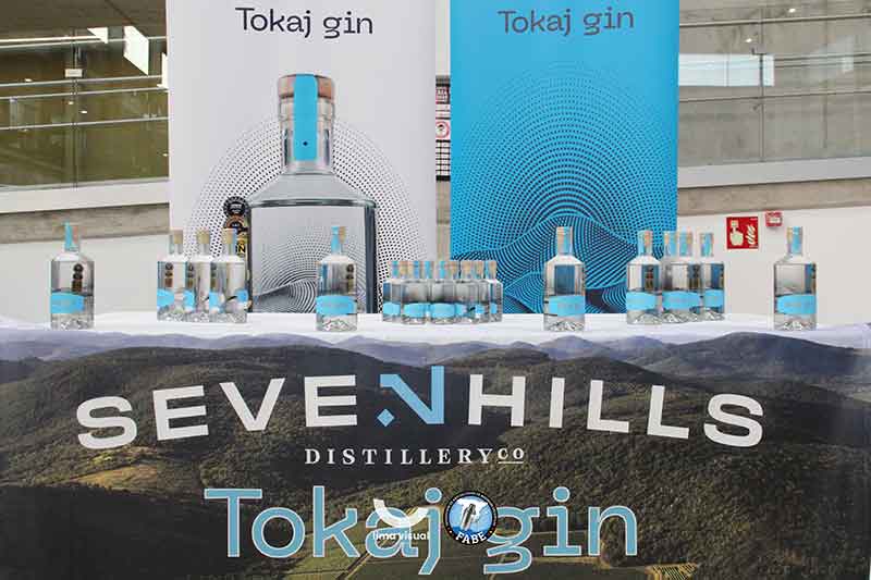 Tokaj-gin